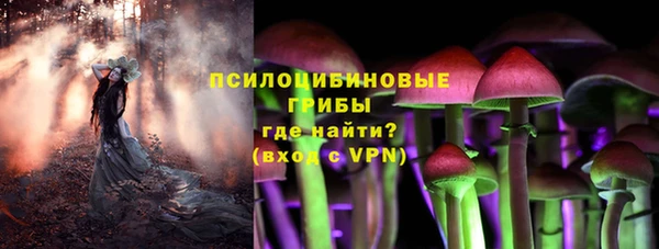 бошки Каменск-Шахтинский